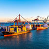 Customs clearance service